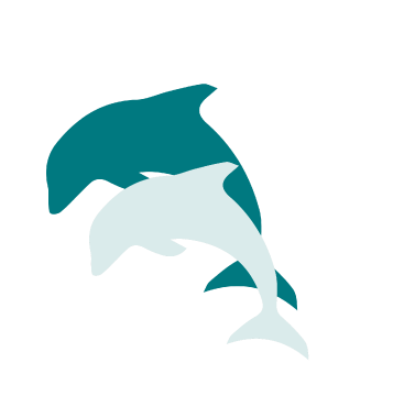 Dolphins