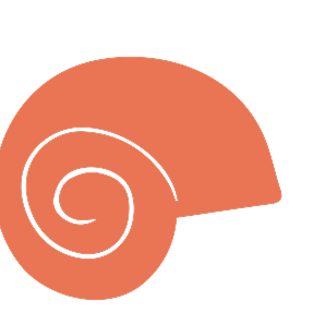 shell-orange
