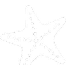 Starfish
