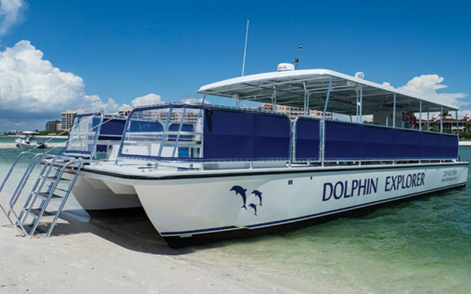Dolphin Explorer