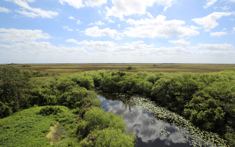 Everglades City Visitor Center