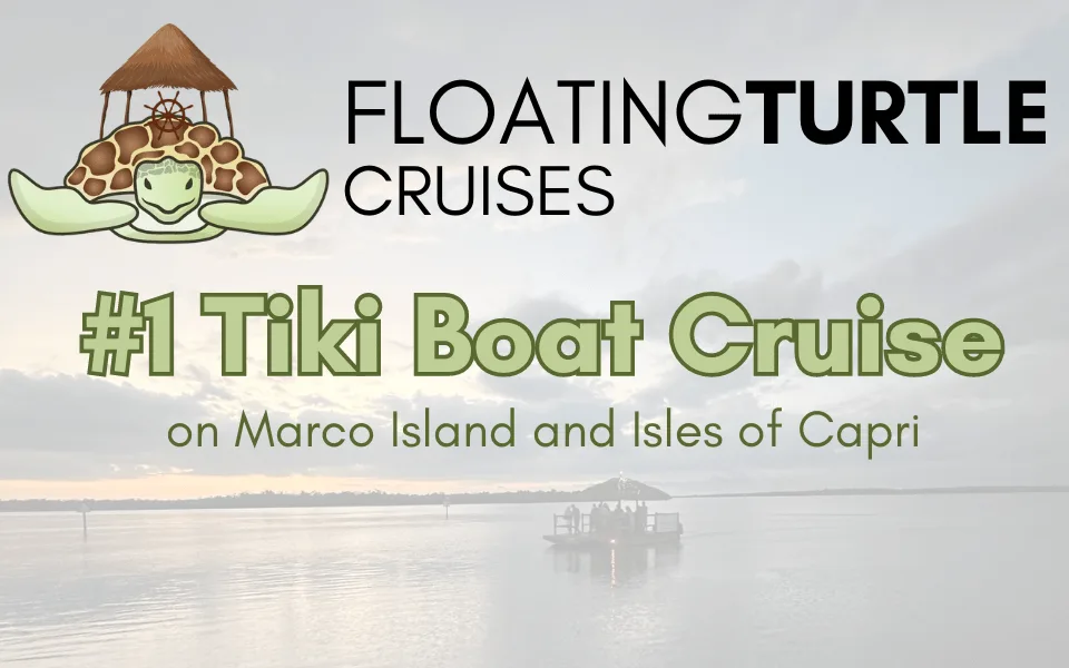 Floating Turtle Cruises