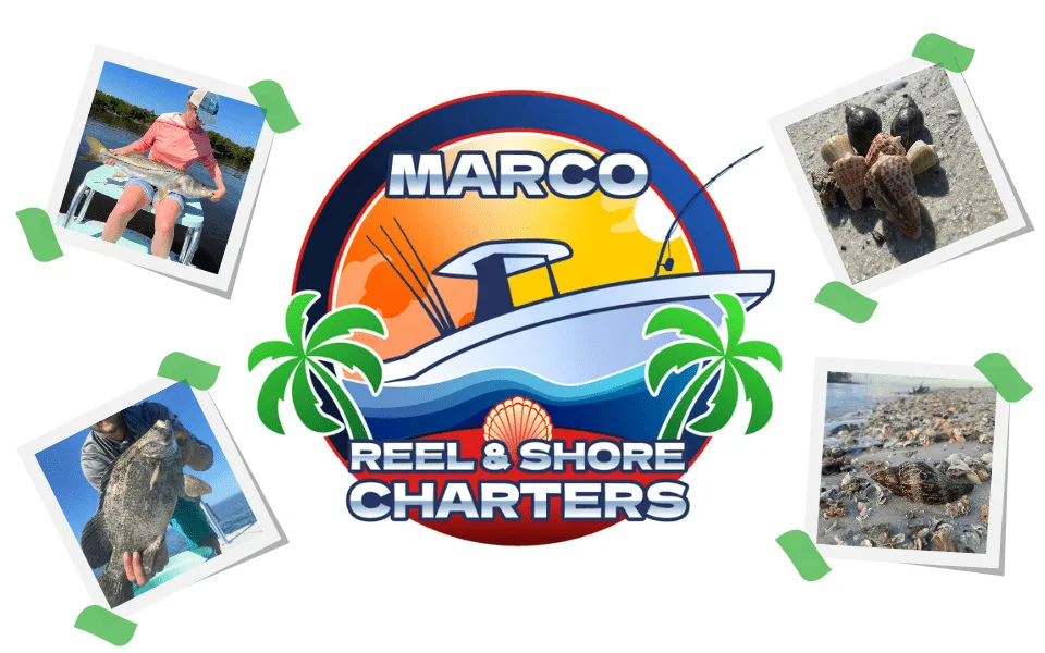 Marco Reel & Shore Charters