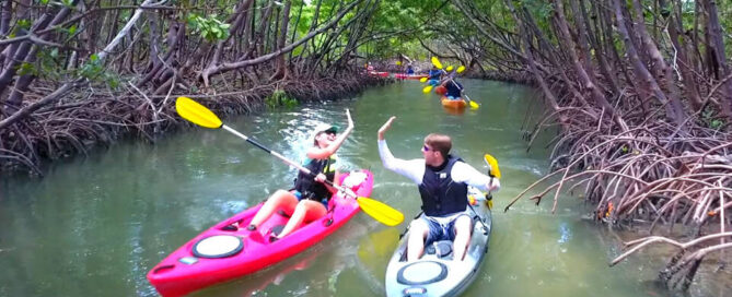 Paddle Marco