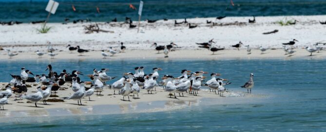 Hidden Beach Marco Island