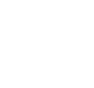 shell2-white