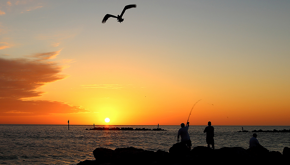 fishing at sunset
