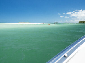 Keewaydin Island shore viewed from a boat with clear skies and pearl color water.