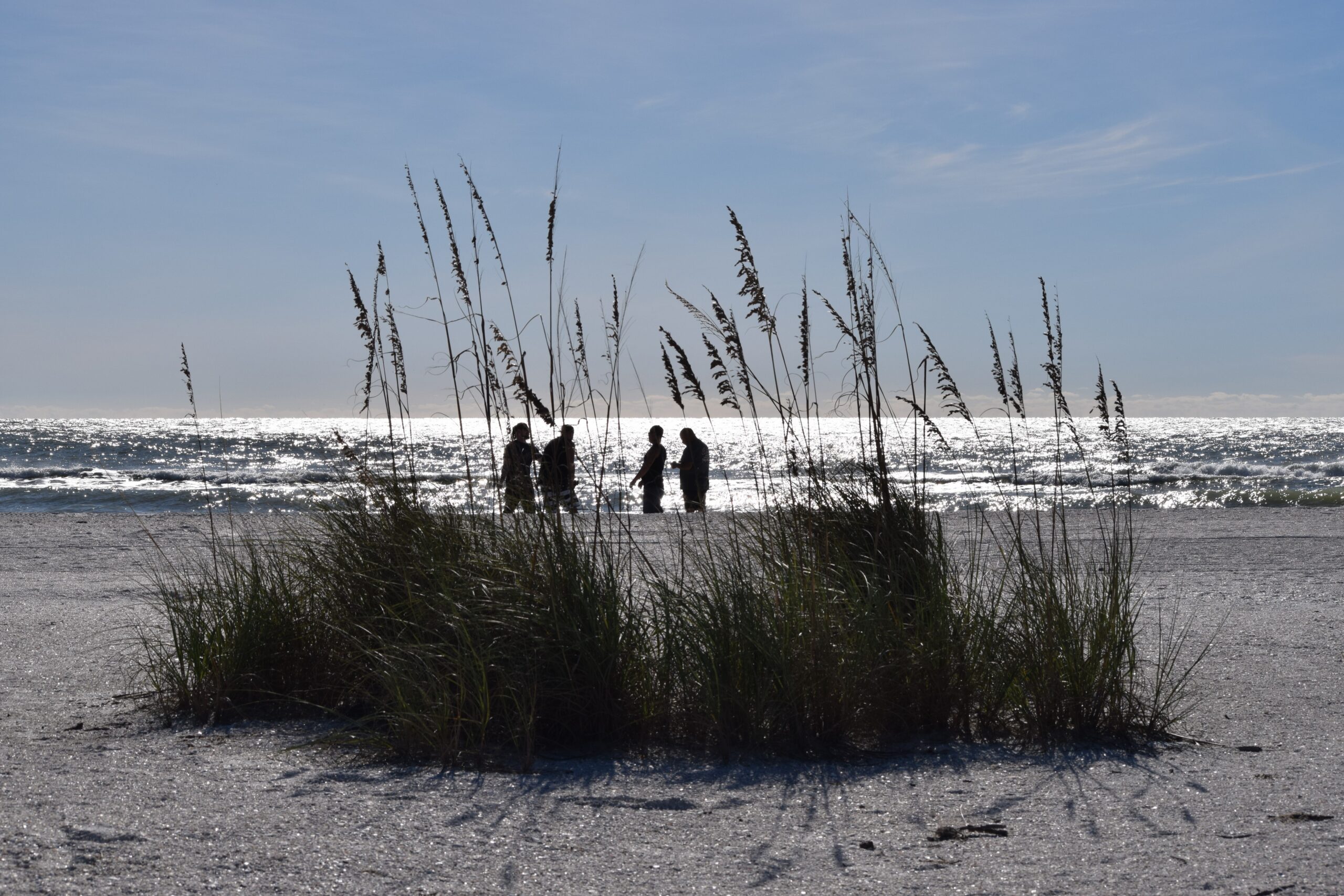 Sea oats framing beachgoers walking along a bright Gulf shoreline, Marco Island, Florida
