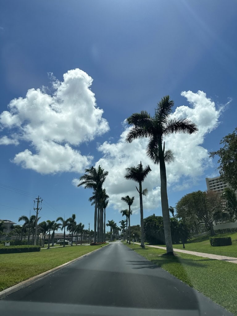 Palm-lined street leading through sunny island landscaping under white clouds, Marco Island, Florida