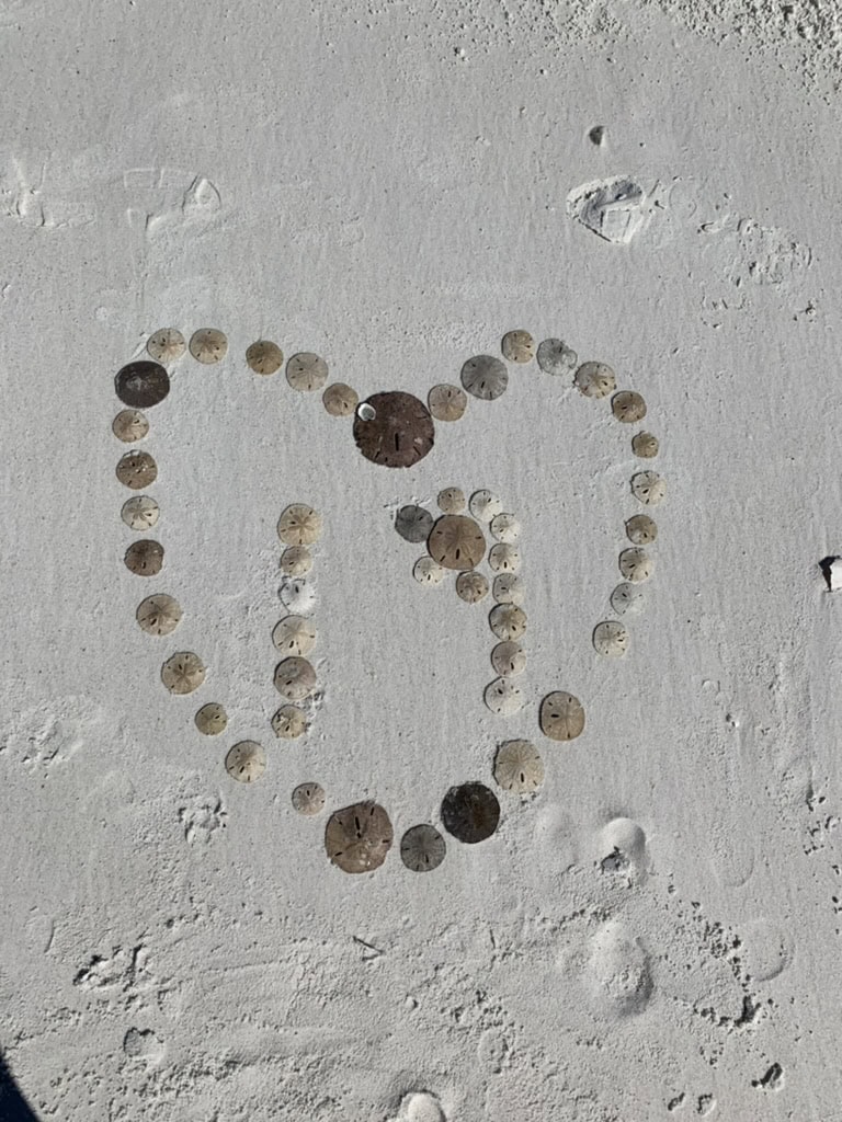 Seashells arranged into a heart around TMR letters on bright beach sand, Marco Island, Florida