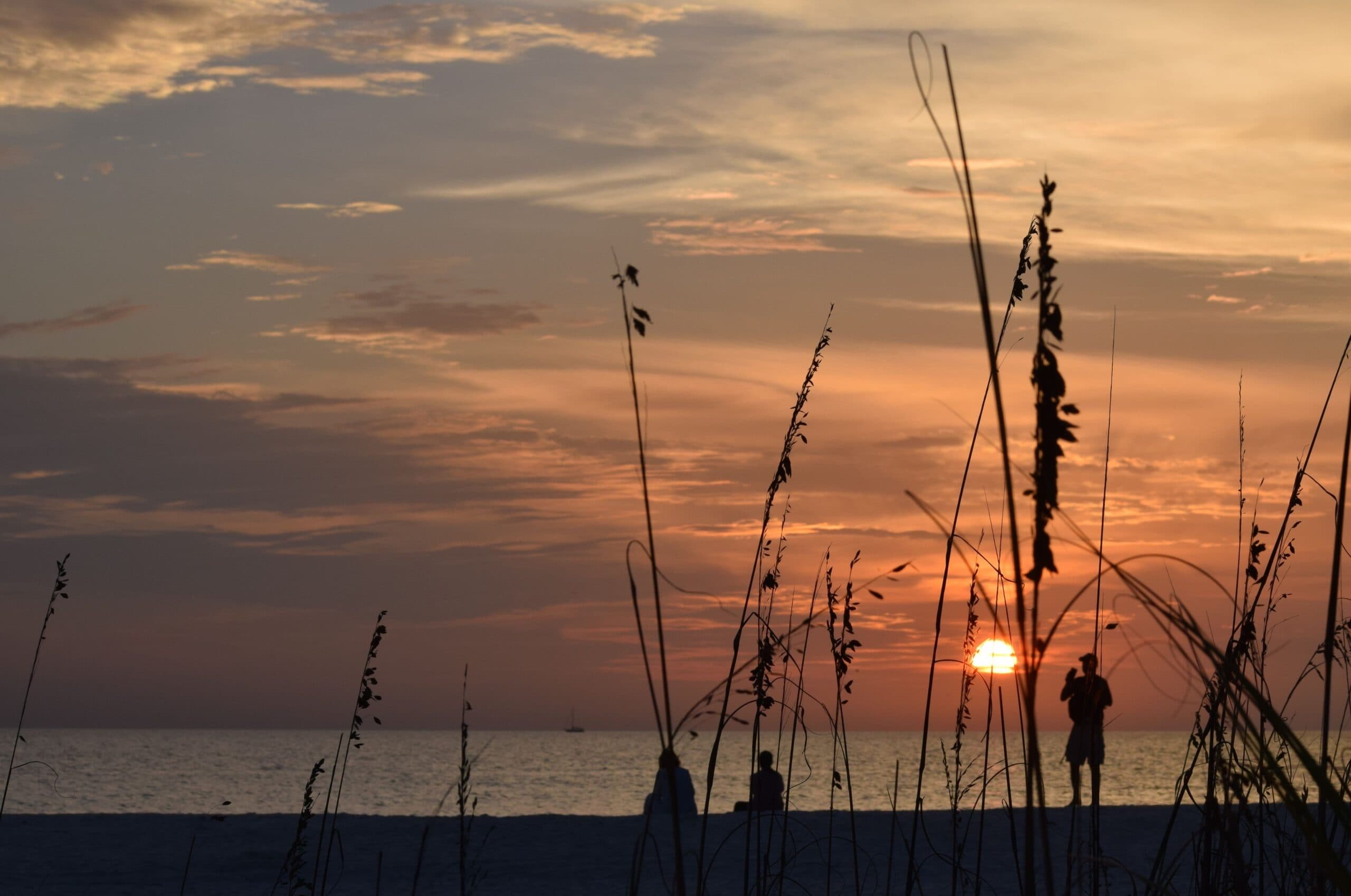 Warm sunset over the Gulf framed by dune grasses and beach silhouettes, Marco Island, Florida