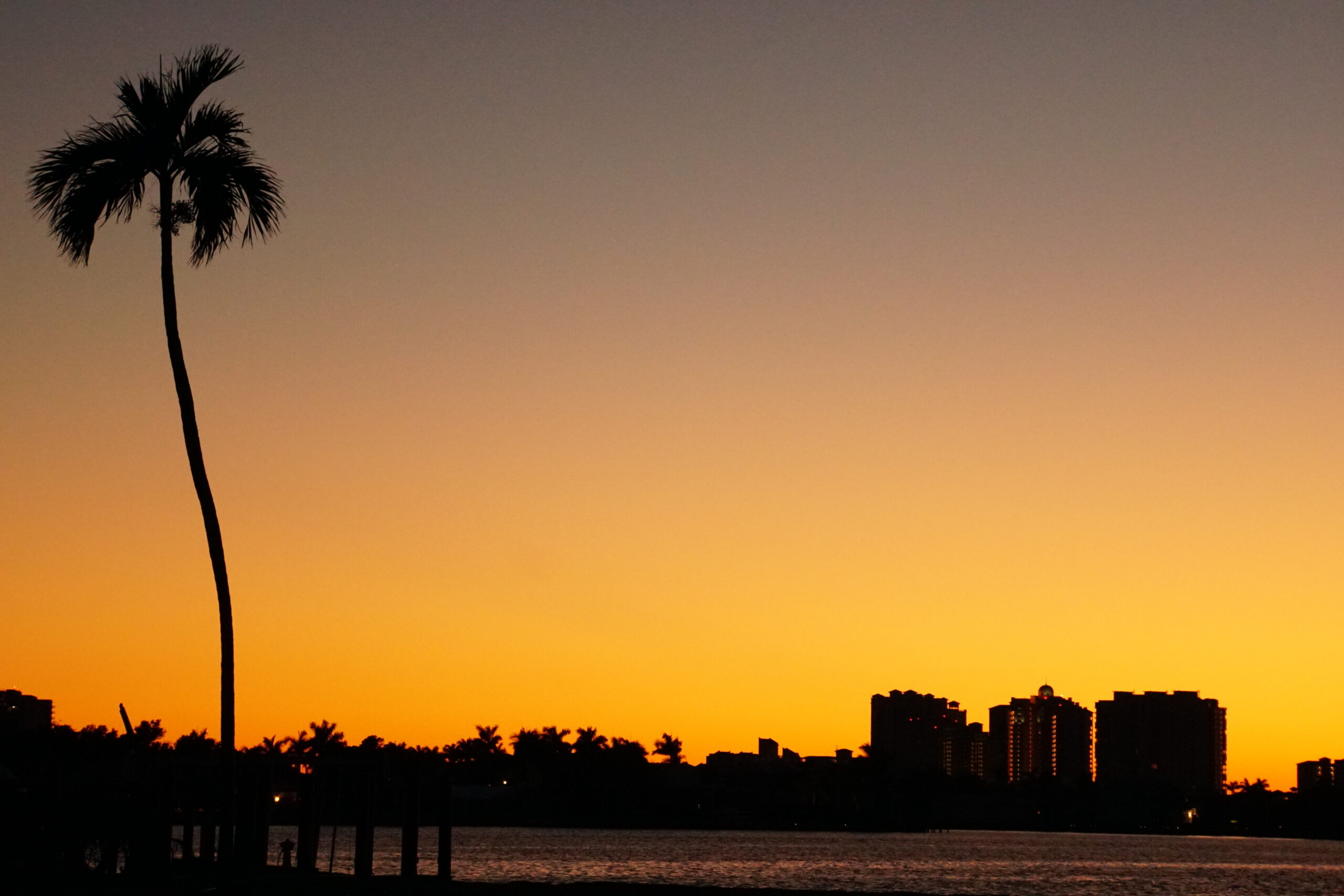 Tall palm tree silhouetted against an amber sunset near the waterfront skyline, Marco Island, Florida
