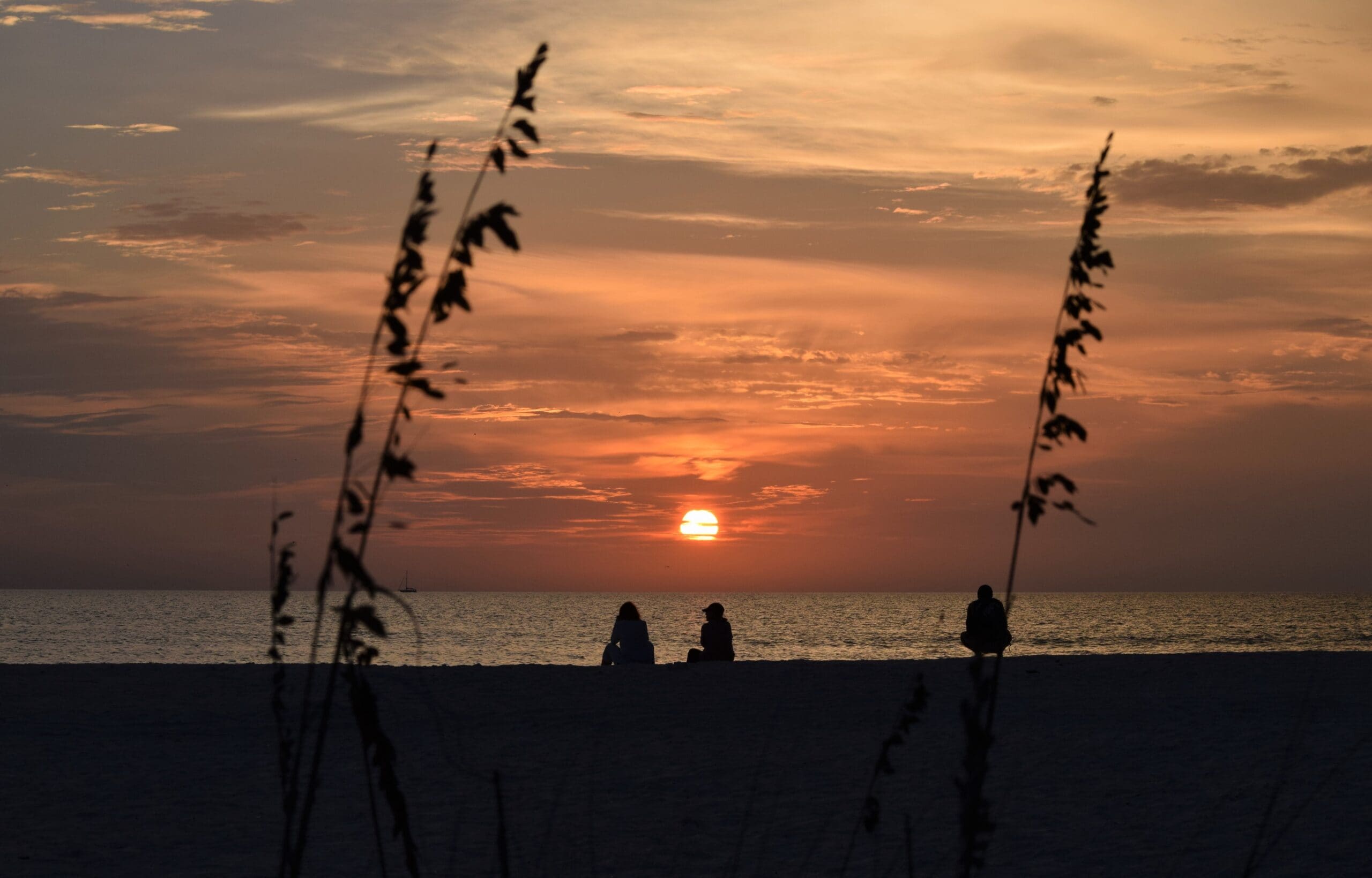 Orange beach sunset seen through sea oats with silhouettes along the Gulf, Marco Island, Florida