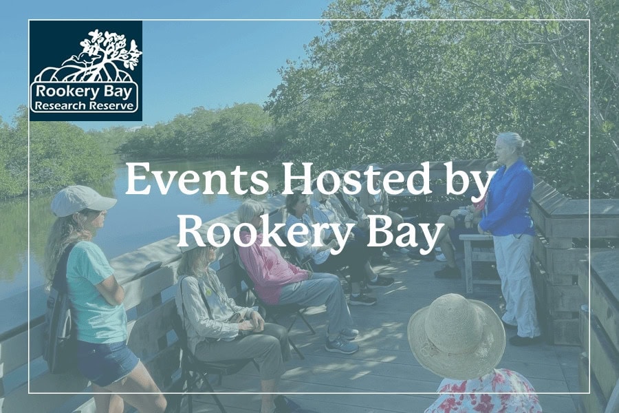 Arts & Culture at Rookery Bay: Crafty Critters